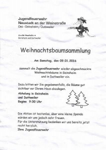 Flyer